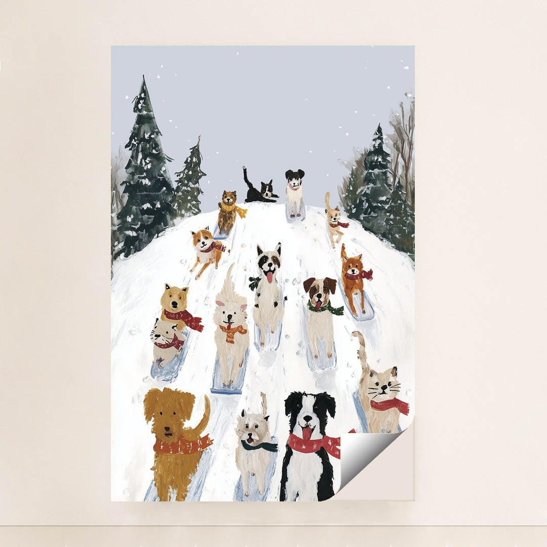 The Winter Race by Anna Stone - Peeliez