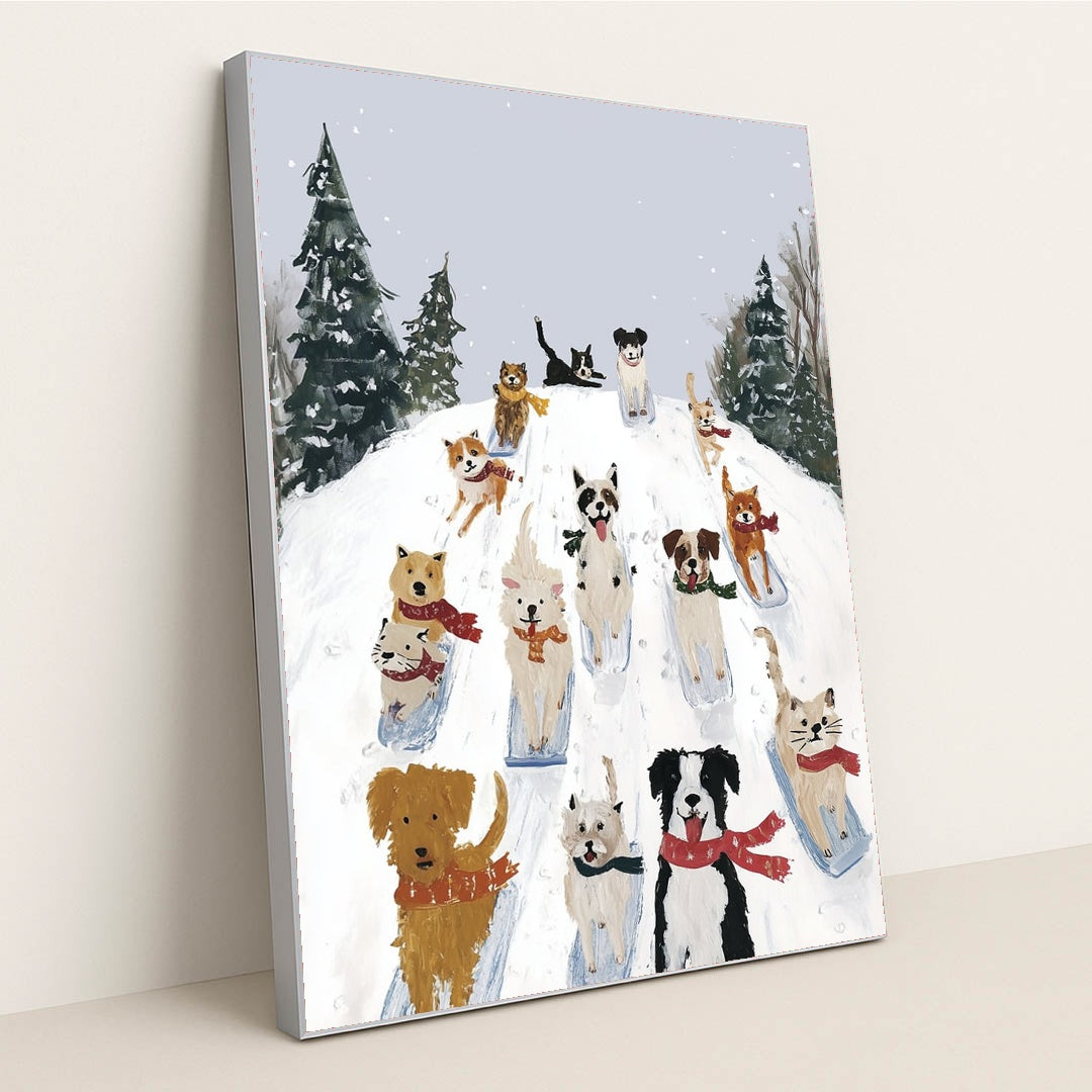 The Winter Race by Anna Stone - Silver Frame Stretchiez