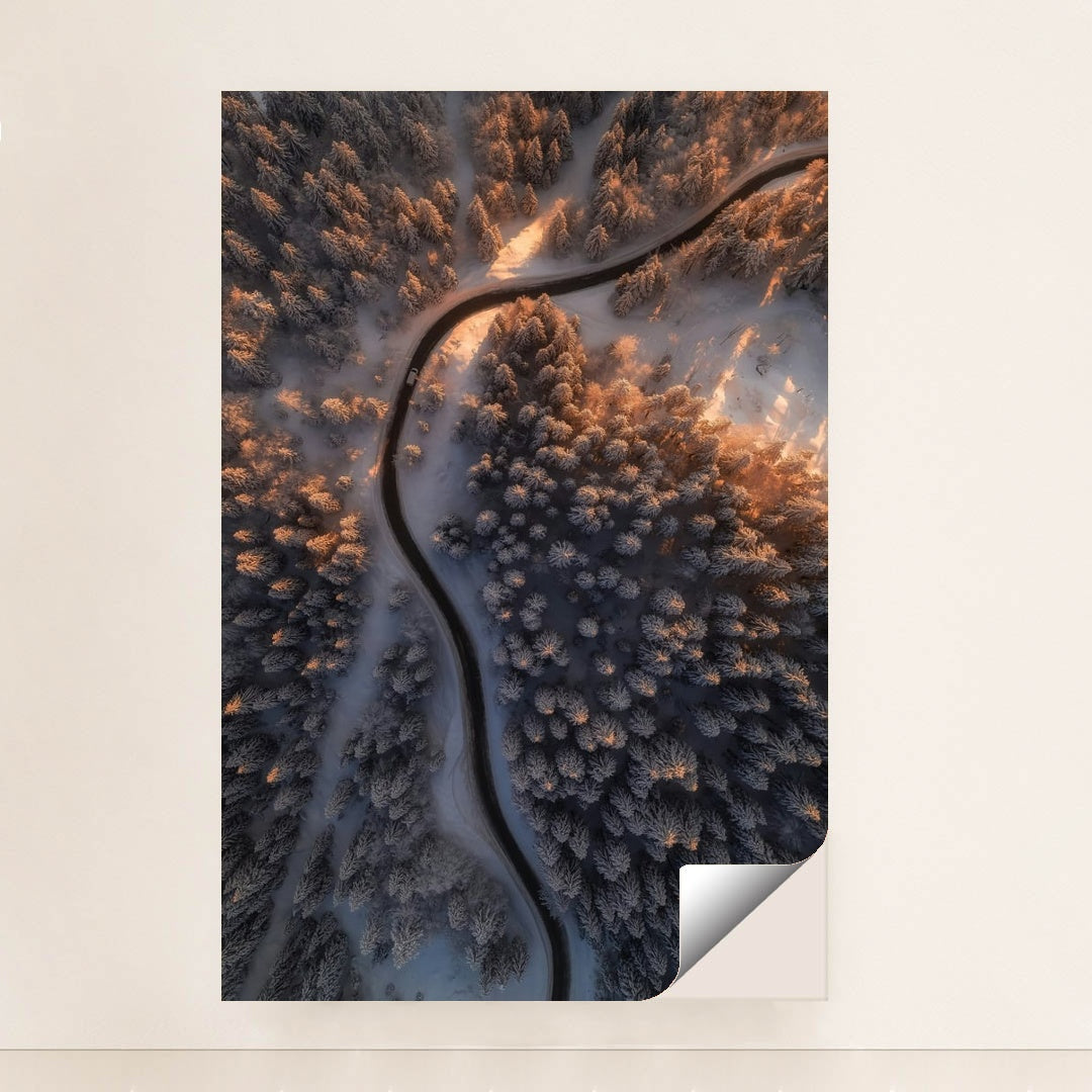 Tracing Silence by Ales Krivec - Peeliez