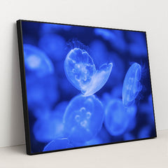 Translucent Jellyfish in Vibrant Blue by Vlad Vasnetsov - Black Frame Stretchiez