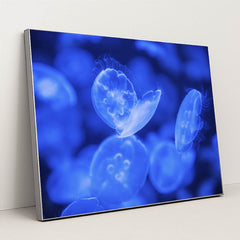 Translucent Jellyfish in Vibrant Blue by Vlad Vasnetsov - Silver Frame Stretchiez