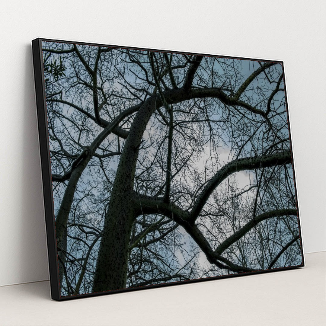 7090354749475 - Product Image