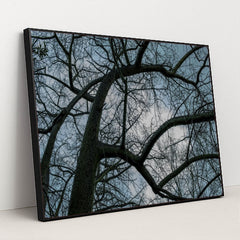 7090354749475 - Product Image