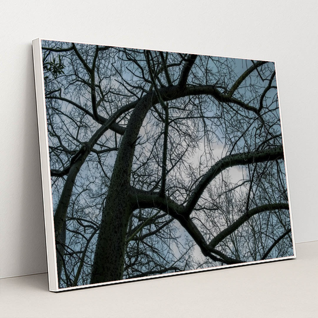 7090354749475 - Product Image