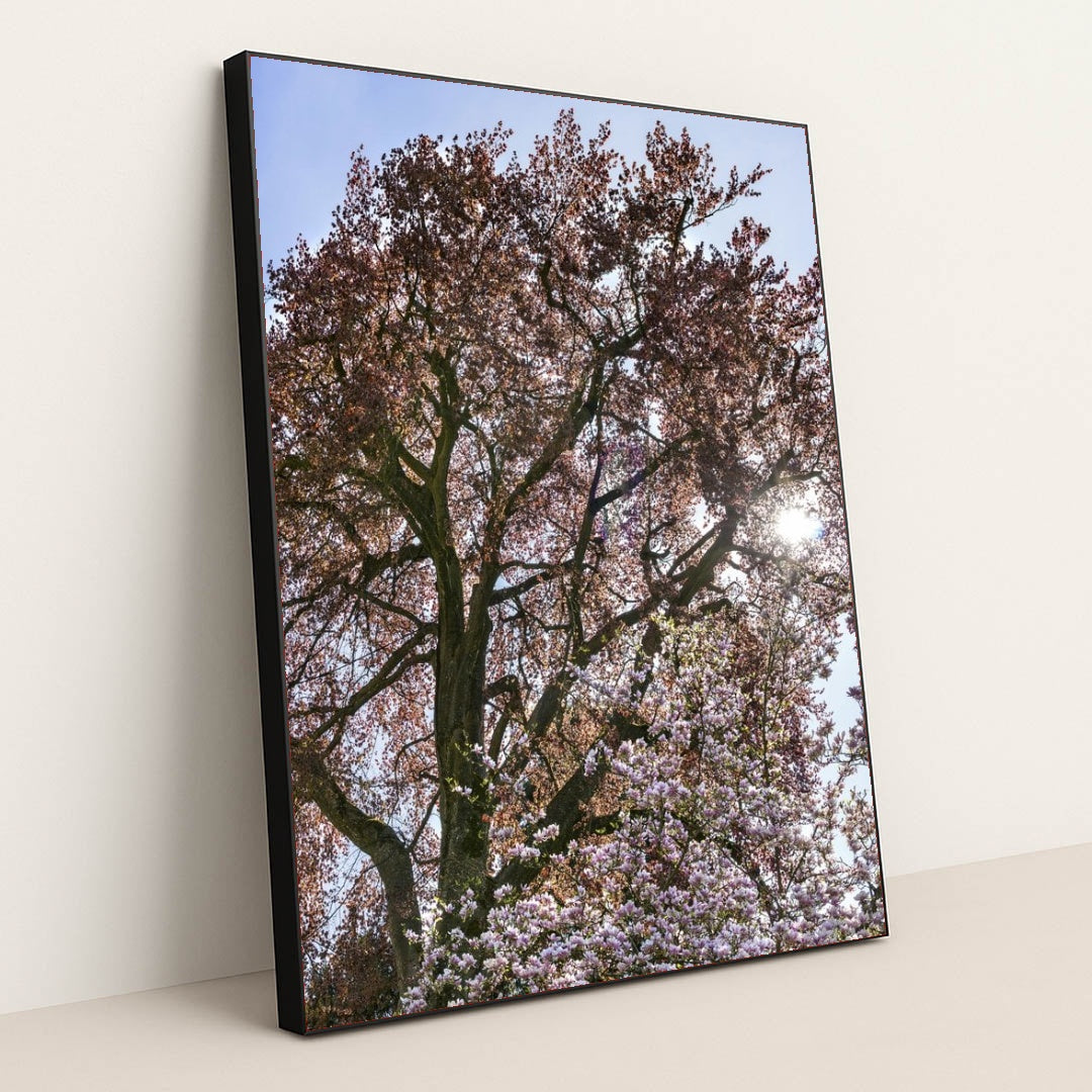 7090295799843 - Product Image