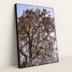 7090295799843 - Product Image