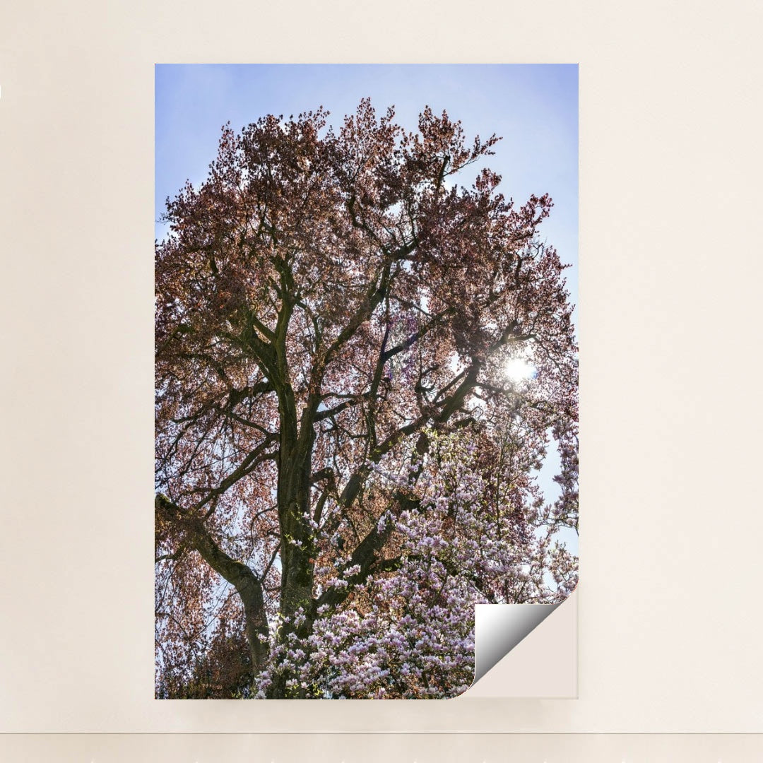 7090295799843 - Product Image