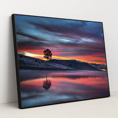 7090356060195 - Product Image