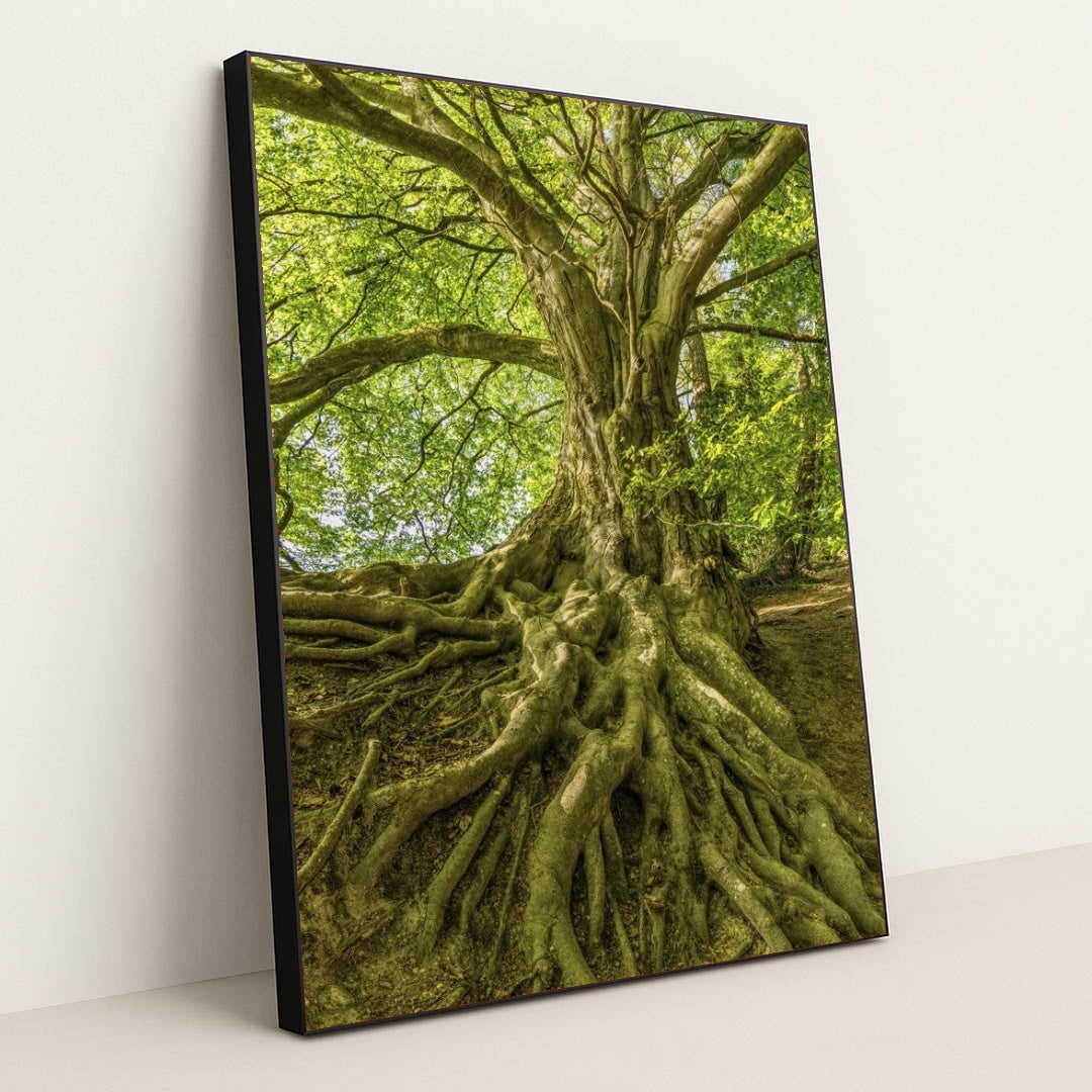 7090256904227 - Product Image