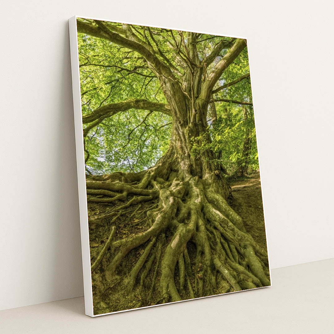 7090256904227 - Product Image