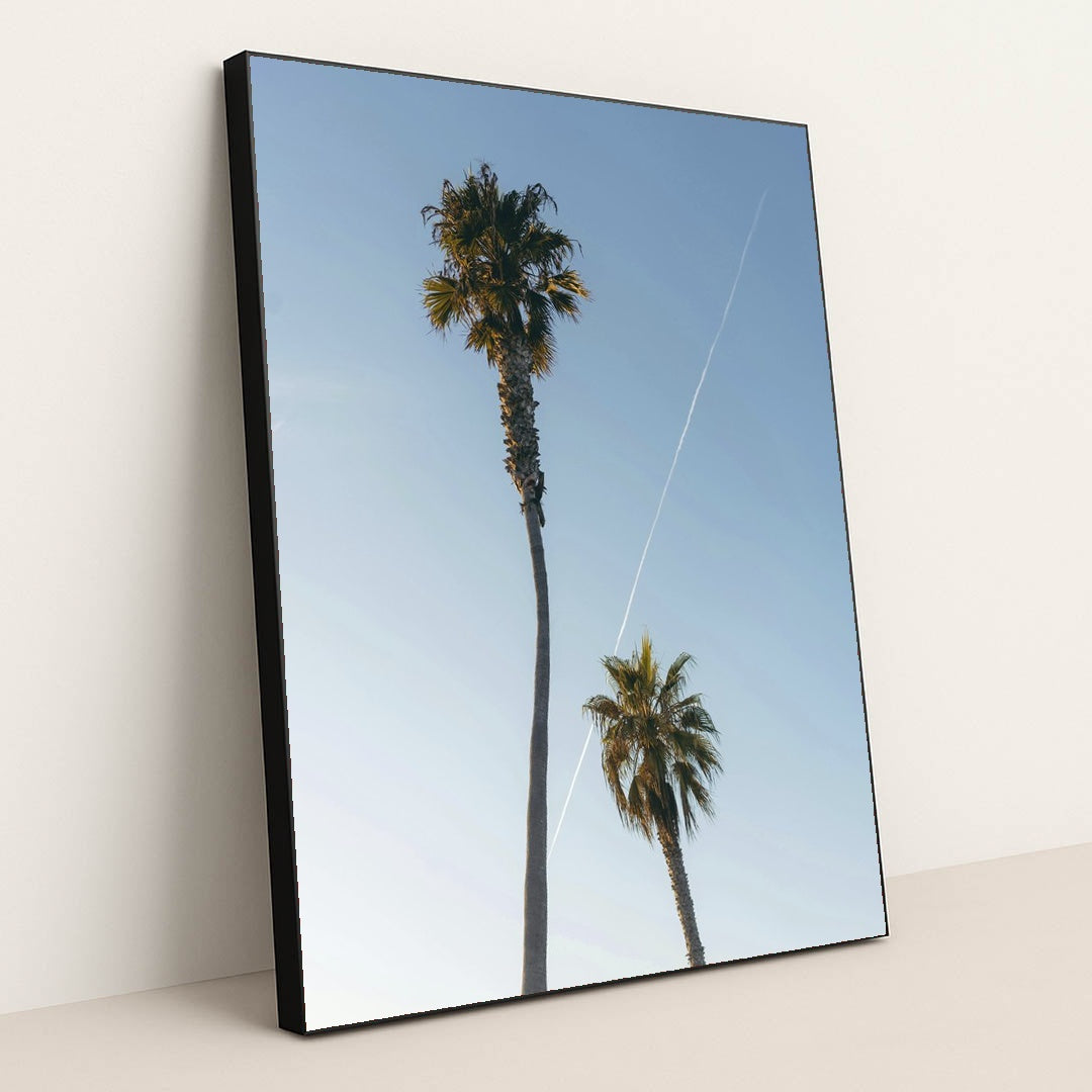 Tropical Palm Trees Under Blue Sky by Matt Hardy - Black Frame Stretchiez