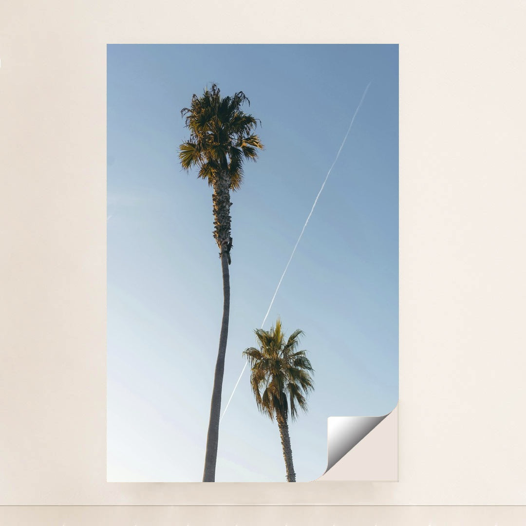 Tropical Palm Trees Under Blue Sky by Matt Hardy - Peeliez