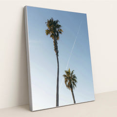 Tropical Palm Trees Under Blue Sky by Matt Hardy - Silver Frame Stretchiez