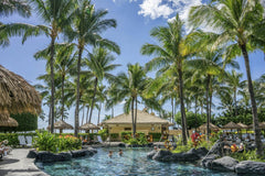 Pixabay - Relaxing tropical resort scene with palm trees, swimming pool, and clear blue sky.