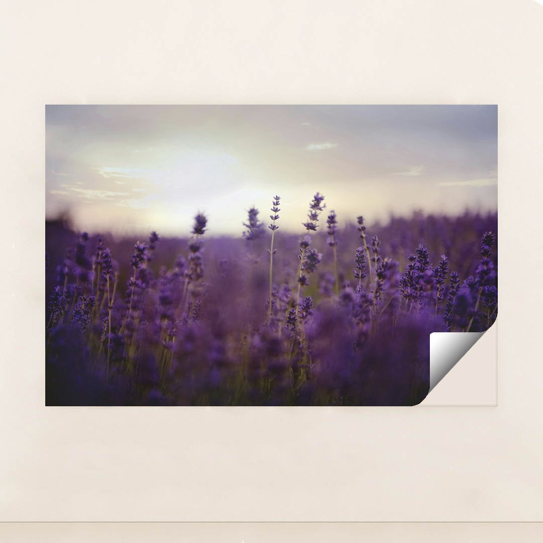 Twilight Lavender Serenity by Kelly Rabie - Peeliez