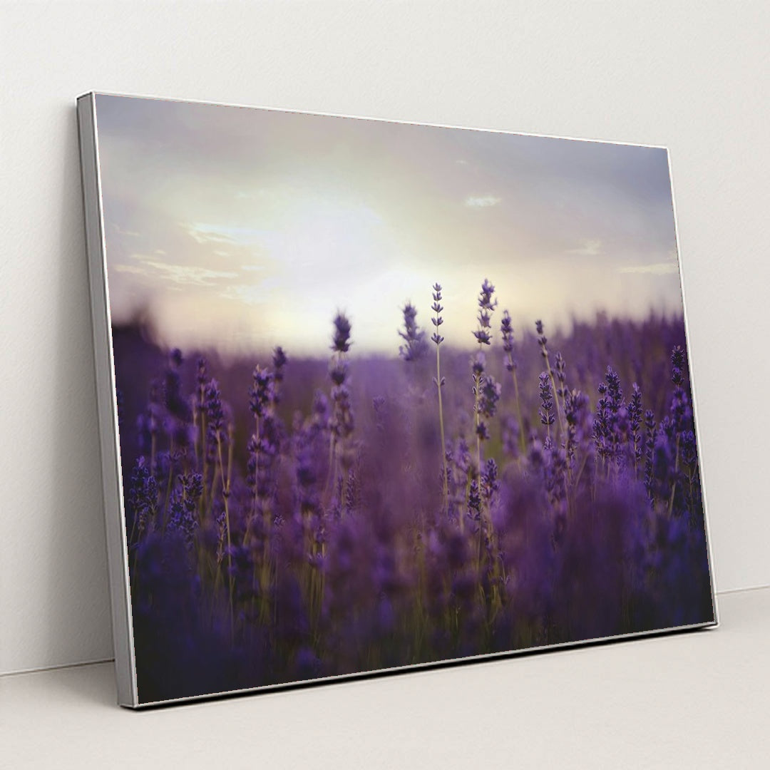 Twilight Lavender Serenity by Kelly Rabie - Silver Frame Stretchiez