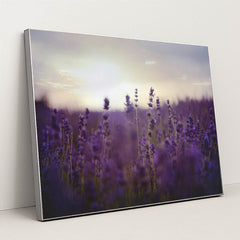 Twilight Lavender Serenity by Kelly Rabie - Silver Frame Stretchiez