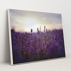 Twilight Lavender Serenity by Kelly Rabie - White Frame Stretchiez