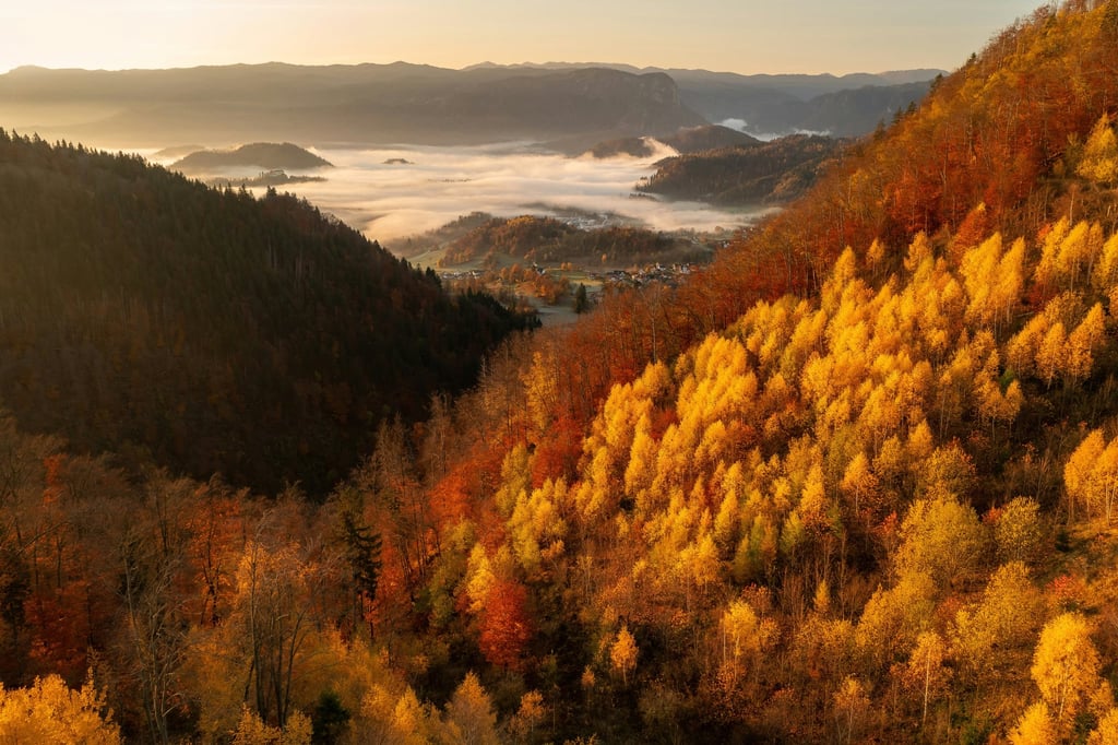 Valley in Gold by Ales Krivec
