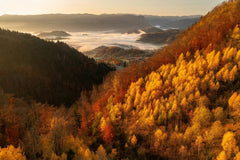 Valley in Gold by Ales Krivec