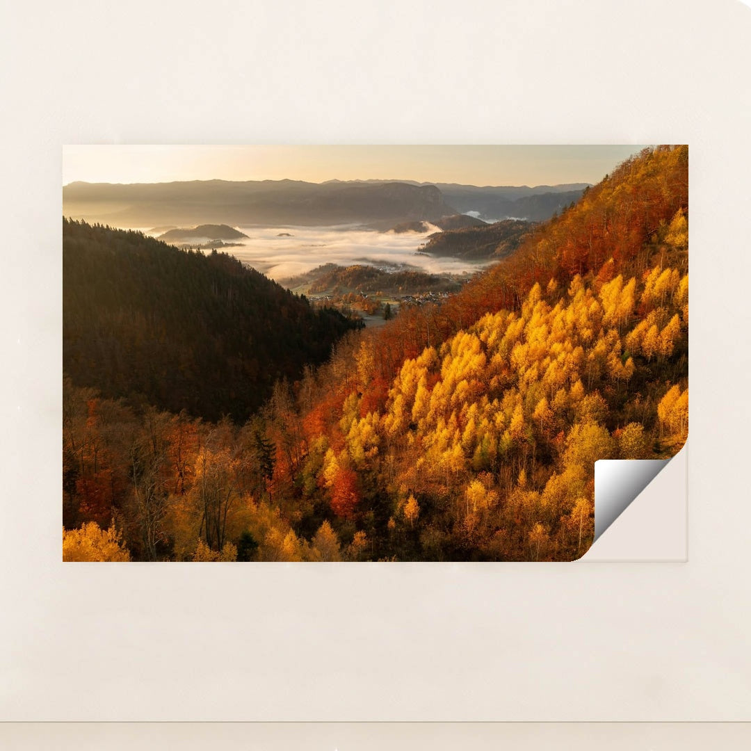 Valley in Gold by Ales Krivec - Peeliez
