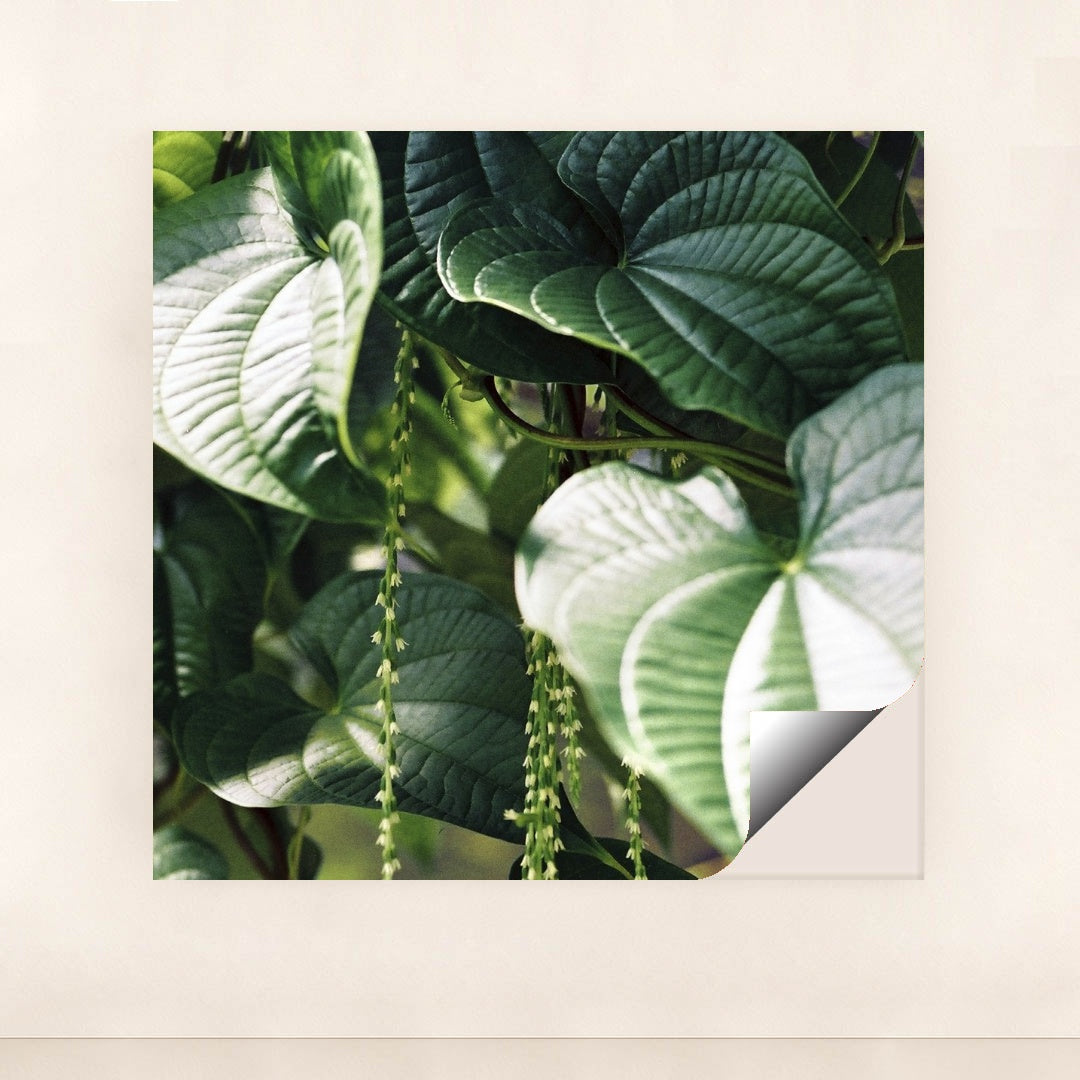 7090290327587 - Product Image