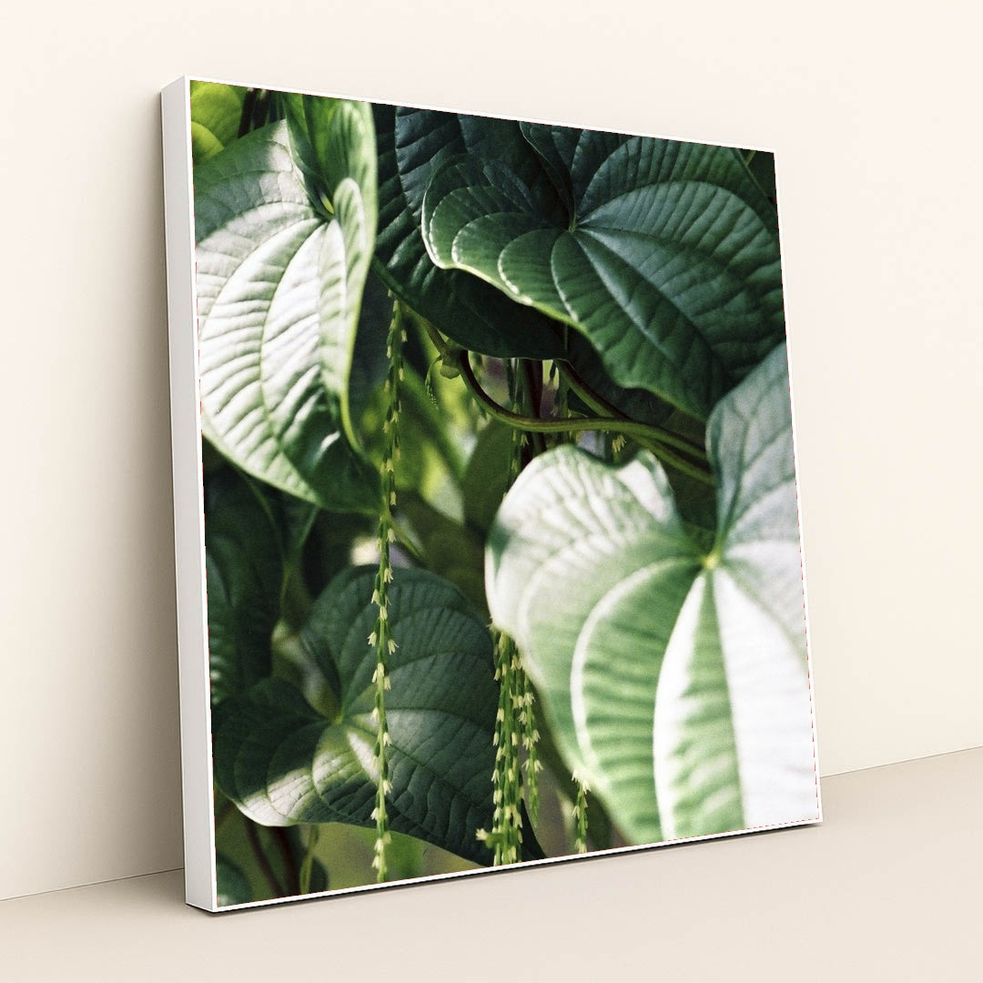 7090290327587 - Product Image