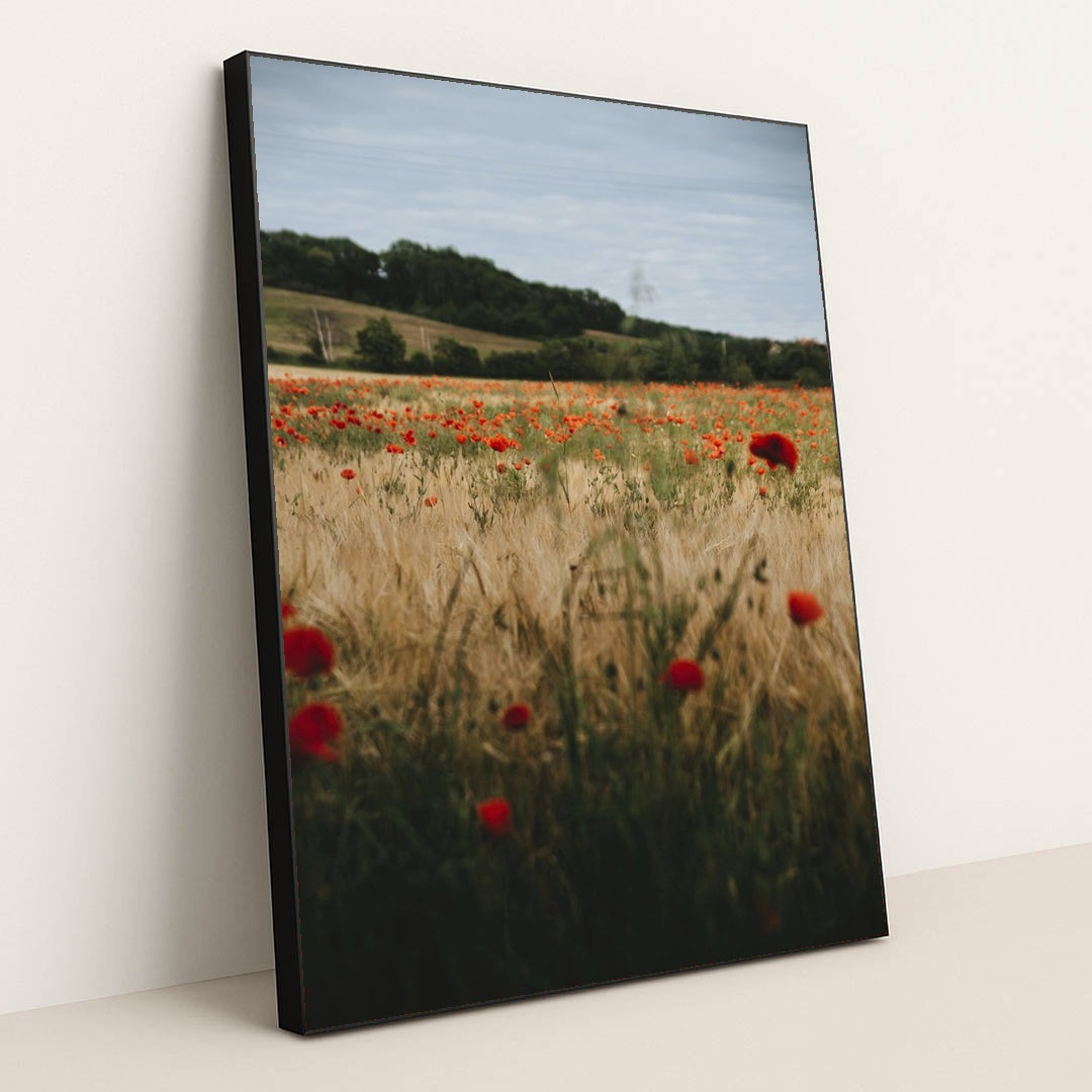 Vibrant Poppy Field in Erfurt by Alesia Kozik - Black Frame Stretchiez