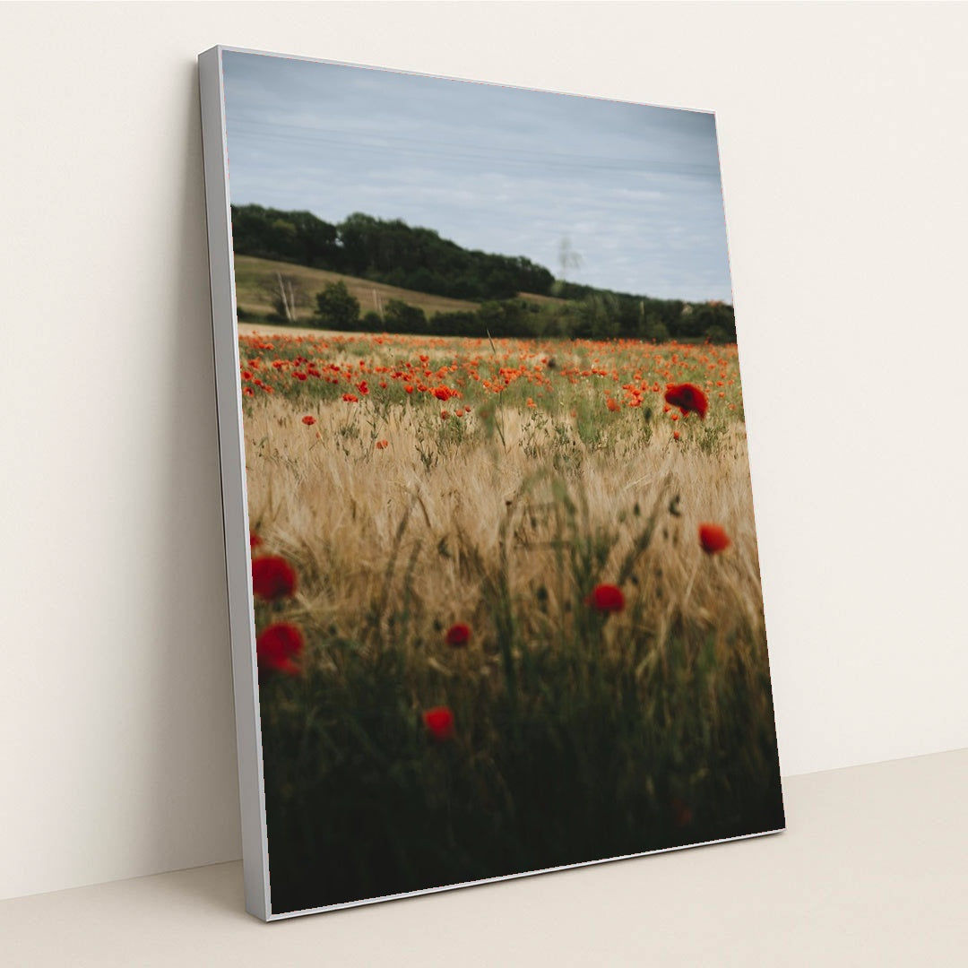 Vibrant Poppy Field in Erfurt by Alesia Kozik - Silver Frame Stretchiez