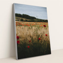 Vibrant Poppy Field in Erfurt by Alesia Kozik - Silver Frame Stretchiez