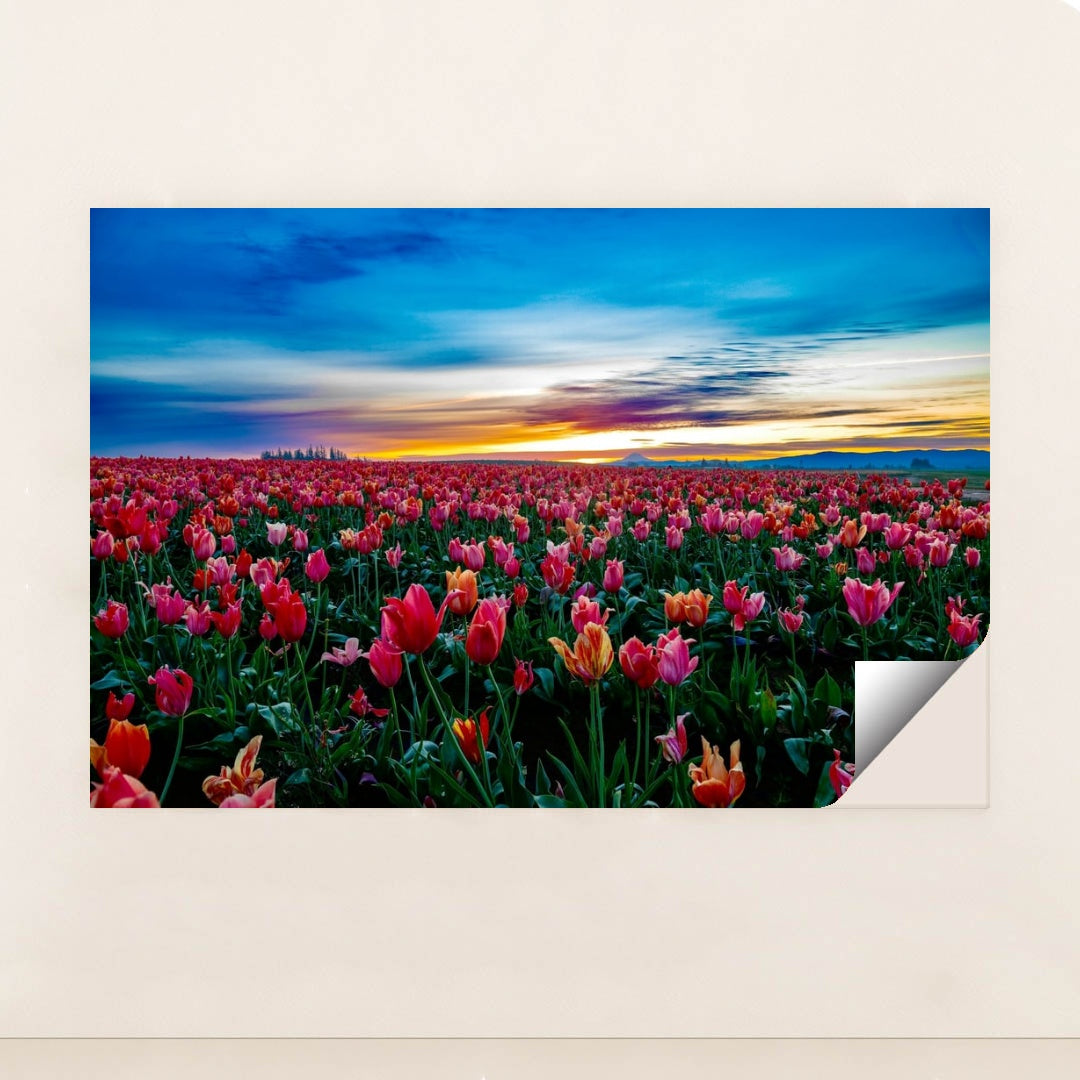 Sea of Tulips by Manoj Kumar - Peeliez