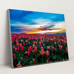 Sea of Tulips by Manoj Kumar - Silver Frame Stretchiez