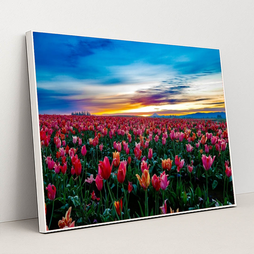 Sea of Tulips by Manoj Kumar - White Frame Stretchiez
