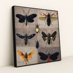 6451 - Product Image