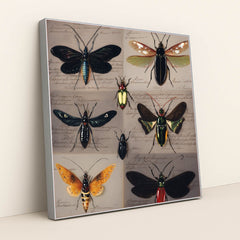 6451 - Product Image