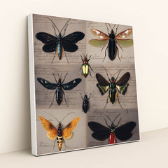 6451 - Product Image