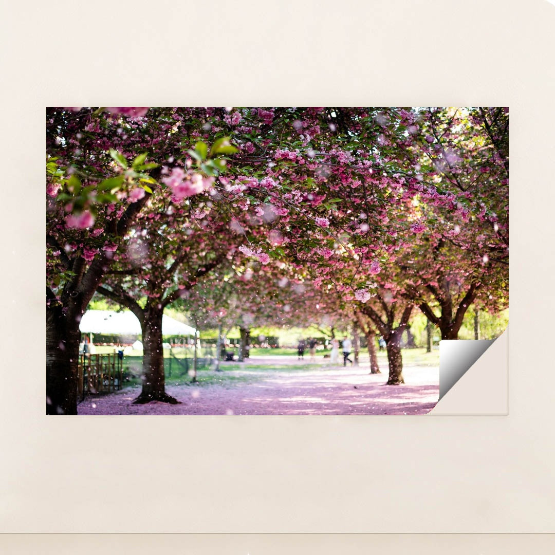 Walking Under the Blossom Canopy by Pascale Amez - Peeliez