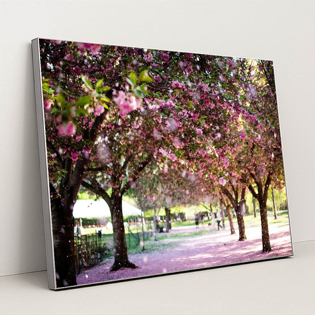 Walking Under the Blossom Canopy by Pascale Amez - Silver Frame Stretchiez