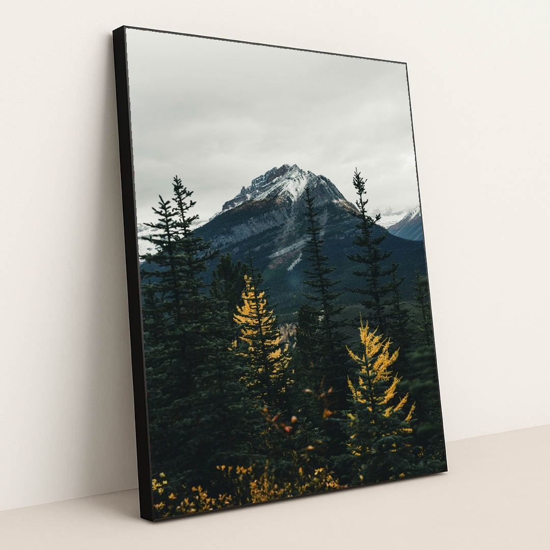 Autumn Serenity at Snow-Capped Mountain by Ali Kazal - Black Frame Stretchiez