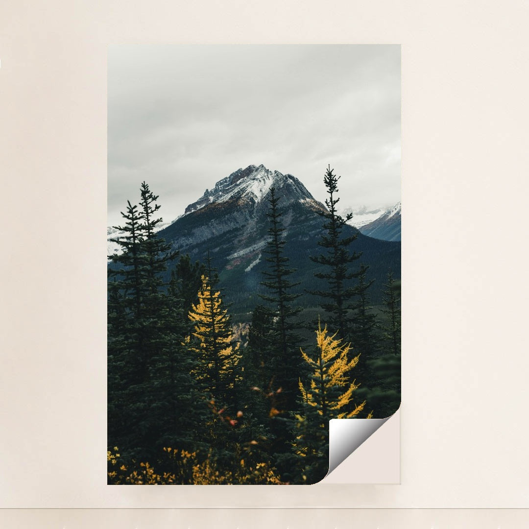 Autumn Serenity at Snow-Capped Mountain by Ali Kazal - Peeliez