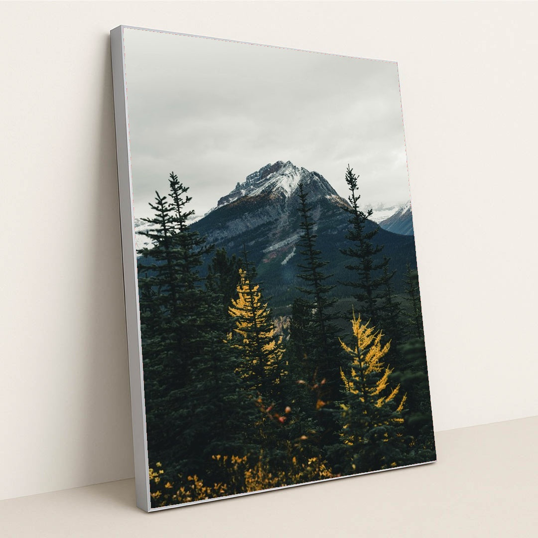 Autumn Serenity at Snow-Capped Mountain by Ali Kazal - Silver Frame Stretchiez