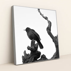 Blackbird on Bare Branch by Serena Koi - Silver Frame Stretchiez