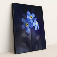Vibrant Blue Alpine Forget-Me-Nots by Skyler Ewing - Black Frame Stretchiez