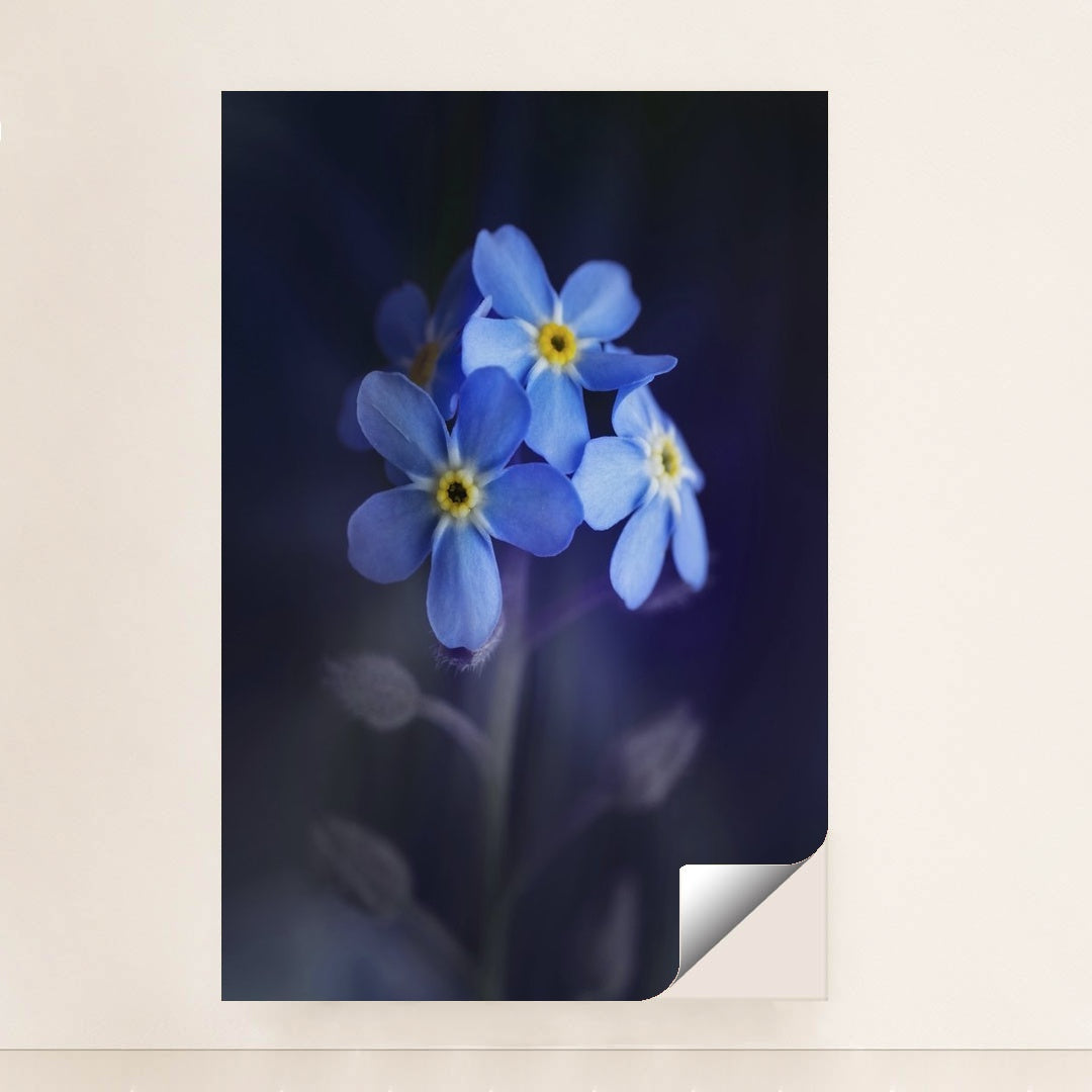 Vibrant Blue Alpine Forget-Me-Nots by Skyler Ewing - Peeliez
