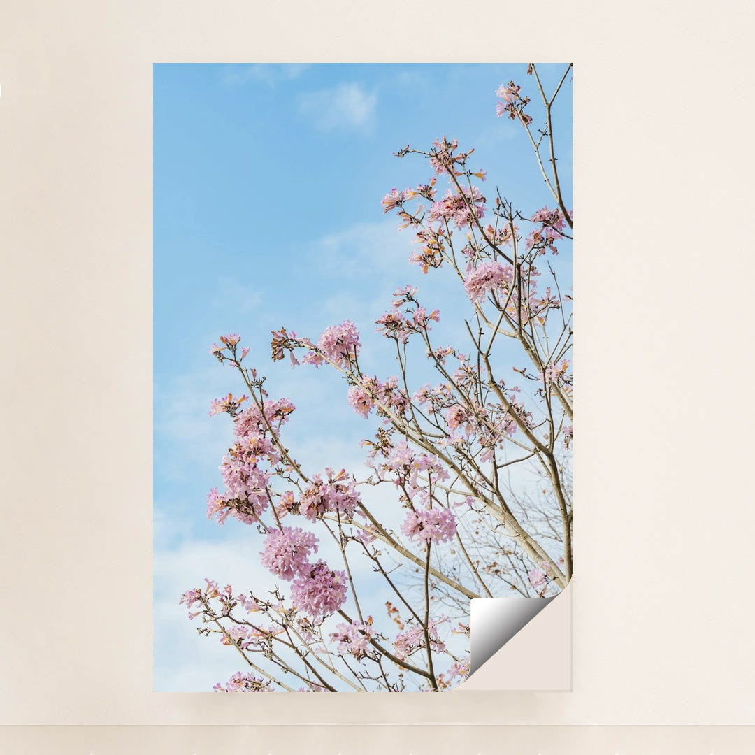 Springtime Cherry Blossoms by Orange Ocean - Peeliez