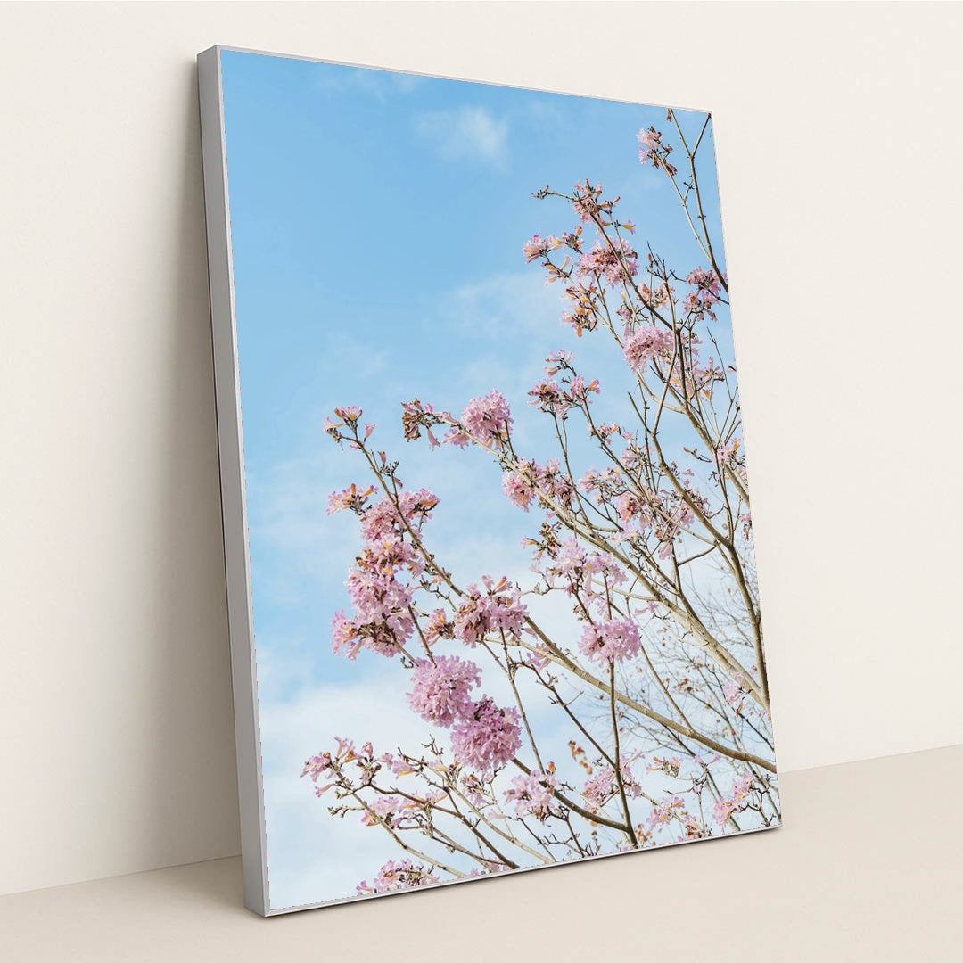 Springtime Cherry Blossoms by Orange Ocean - Silver Frame Stretchiez