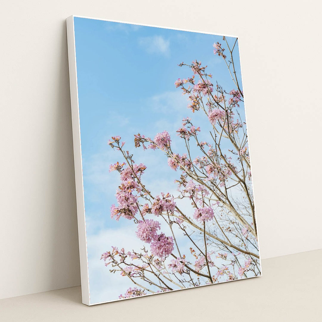 Springtime Cherry Blossoms by Orange Ocean - White Frame Stretchiez