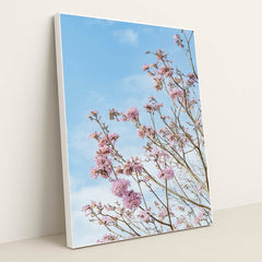Springtime Cherry Blossoms by Orange Ocean - White Frame Stretchiez
