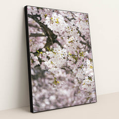 Delicate Cherry Blossoms in Spring by Ekam Juneja - Black Frame Stretchiez