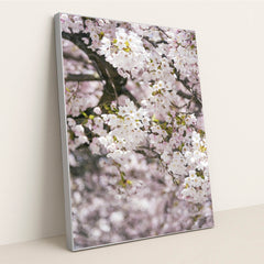 Delicate Cherry Blossoms in Spring by Ekam Juneja - Silver Frame Stretchiez